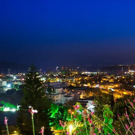 Important Group Bd417 - Reeza Bodrum