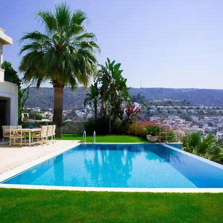 Important Group Bd417 - Reeza * Bodrum