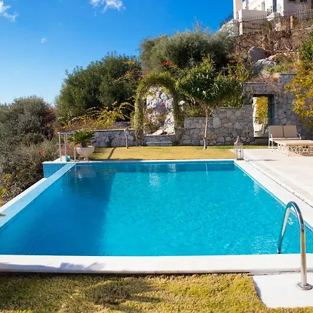 Important Group Bd417 - Reeza * Bodrum