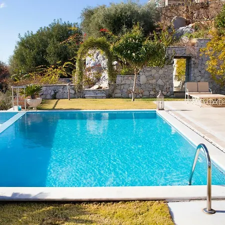 Important Group Bd417 - Reeza Bodrum