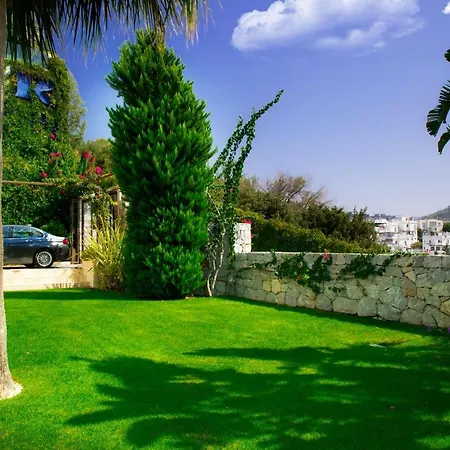 Villa Important Group Bd417 - Reeza Bodrum