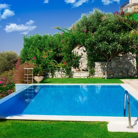 Important Group Bd417 - Reeza Villa *