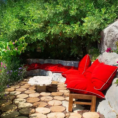 Important Group Bd417 - Reeza Bodrum