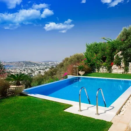 Important Group Bd417 - Reeza Bodrum